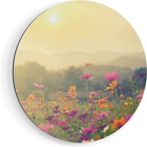 Artaza Dibond Muurcirkel Bloemenveld Met Kosmos - Zonsondergang - Ø 70 cm - Wandcirkel - Rond Schilderij - Voor Binnen en Buiten