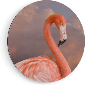 Artaza Dibond Muurcirkel Roze Flamingo in de Wolken - Ø 50 cm - Klein - Wandcirkel - Rond Schilderij - Voor Binnen en Buiten