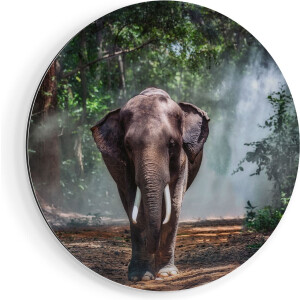 Artaza Dibond Muurcirkel Olifant In Het Bos - Ø 80 cm - Groot - Wandcirkel - Rond Schilderij - Voor Binnen en Buiten