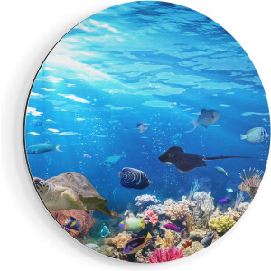 Artaza Dibond Muurcirkel Vissen met Koraalrif Onder Water - Ø 80 cm - Groot - Wandcirkel - Rond Schilderij - Voor Binnen en Buiten