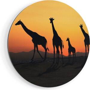 Artaza Dibond Muurcirkel Vier Giraffe Silhouetten Bij Zonsondergang - Ø 50 cm - Klein - Wandcirkel - Rond Schilderij - Voor Binnen en Buiten