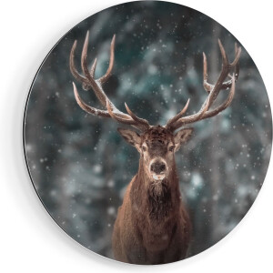Artaza Dibond Muurcirkel Hertenkop - Hert In De Sneeuw  - Ø 50 cm - Klein - Wandcirkel - Rond Schilderij - Voor Binnen en Buiten