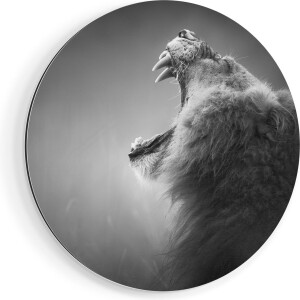 Artaza Dibond Muurcirkel Brullende Leeuw - Zwart Wit - Ø 60 cm - Wandcirkel - Rond Schilderij - Voor Binnen en Buiten