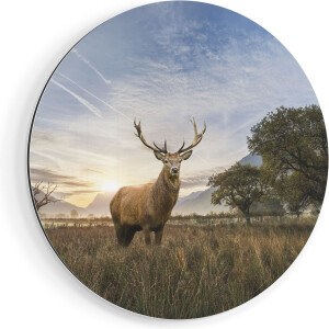 Artaza Dibond Muurcirkel Hert In Het Landschap  - Ø 90 cm - Groot - Wandcirkel - Rond Schilderij - Voor Binnen en Buiten