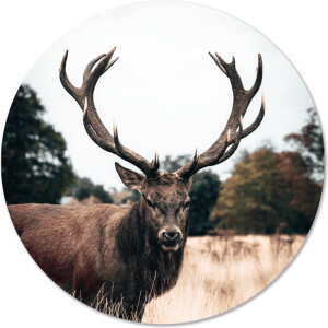 Label2X - Schilderij - Hert Ø - Multicolor - 12 X 12 Cm