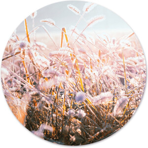 Label2X - Muurcirkel winter morning flower - Ø 120 cm - Forex - Multicolor - Wandcirkel - Rond Schilderij - Muurdecoratie Cirkel - Wandecoratie rond - Decoratie voor woonkamer of slaapkamer