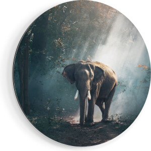 Artaza Dibond Muurcirkel Olifant In Het Bos Met Zonneschijn - Ø 50 cm - Klein - Wandcirkel - Rond Schilderij - Voor Binnen en Buiten