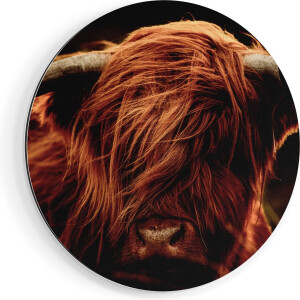 Artaza Dibond Muurcirkel Schotse Hooglander Koeienkop - Kleur - Ø 60 cm - Wandcirkel - Rond Schilderij - Voor Binnen en Buiten