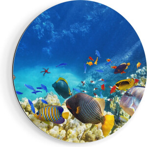 Artaza Dibond Muurcirkel Vissen in de Oceaan met Koralen - Ø 50 cm - Klein - Wandcirkel - Rond Schilderij - Voor Binnen en Buiten