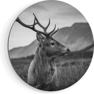 Artaza Dibond Muurcirkel Hertenkop - Hert - Zwart Wit - Ø 60 cm - Wandcirkel - Rond Schilderij - Voor Binnen en Buiten