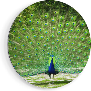 The Living Store Dressoir Vintage - Grijs Sonoma Eiken - 69.5 x 34 x 90 cm