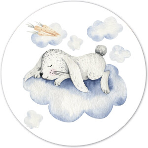 Label2X - Muurcirkel kids konijn wolk - Ø 80 cm - Forex - Multicolor - Wandcirkel - Rond Schilderij - Muurdecoratie Cirkel - Wandecoratie rond - Decoratie voor woonkamer of slaapkamer