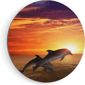 Artaza Dibond Muurcirkel Twee Dolfijnen bij de Zonsondergang - Ø 40 cm - Klein - Wandcirkel - Rond Schilderij - Voor Binnen en Buiten