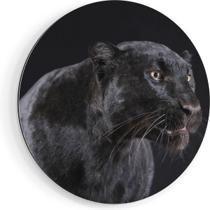 Artaza Dibond Muurcirkel Zwarte Panterkop - Panter - Ø 90 cm - Groot - Wandcirkel - Rond Schilderij - Voor Binnen en Buiten