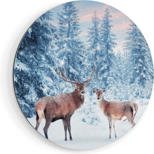 Artaza Dibond Muurcirkel Twee Herten In Het Bos Met Sneeuw - Ø 50 cm - Klein - Wandcirkel - Rond Schilderij - Voor Binnen en Buiten
