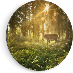 Artaza Dibond Muurcirkel Hert In Bos Met Zon - Ø 60 cm - Wandcirkel - Rond Schilderij - Voor Binnen en Buiten