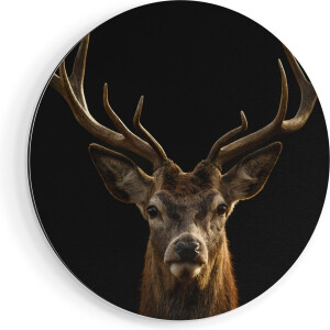 Artaza Dibond Muurcirkel Hertenkop - Hert  - Ø 50 cm - Klein - Wandcirkel - Rond Schilderij - Voor Binnen en Buiten