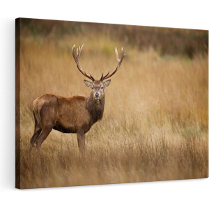 Artaza Canvas Schilderij Hert in de Weide - 120x80 - Groot - Foto Op Canvas - Wanddecoratie Woonkamer