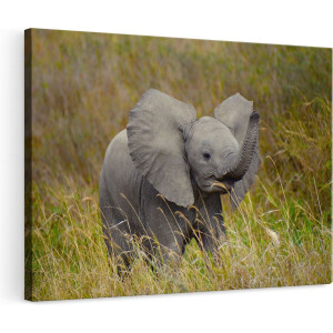 Artaza Canvas Schilderij Olifant - 120x80 cm - Groot - Wanddecoratie Dieren - Muurdecoratie Afrika - Schilderijen Op Canvas