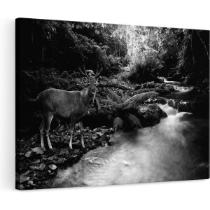 Artaza Canvas Schilderij Hert - 120x80 cm - Groot - Wanddecoratie Bos - Muurdecoratie Rivier - Schilderijen Op Canvas Zwart Wit