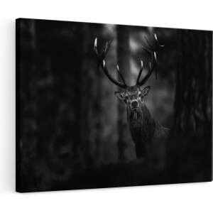 Artaza Canvas Schilderij Hert in het Bos van Dicthbij - Zwart Wit - 120x80 - Groot - Foto Op Canvas - Wanddecoratie Woonkamer
