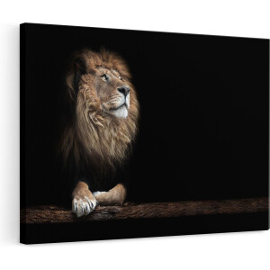 Artaza Canvas Schilderij Leeuw in het Donker op een Boomstronk - 120x80 - Groot - Foto Op Canvas - Wanddecoratie Woonkamer