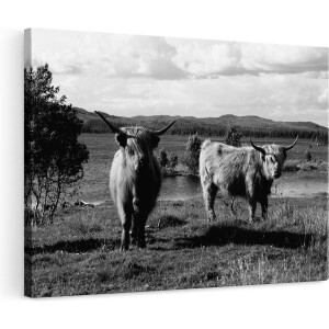 Artaza Canvas Schilderij Schotse Hooglander - 120x80 cm - Groot - Wanddecoratie Woonkamer - Muurdecoratie Natuur - Zwart Wit