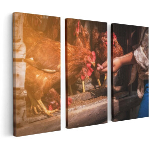 Artaza Canvas Schilderij Drieluik Kippen Krijgen te Eten - 120x80 - Foto Op Canvas - Canvas Print