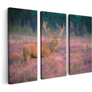 Artaza Canvas Schilderij Drieluik Hert In De Weide Tijdens Zonsondergang - 120x80 - Foto Op Canvas - Canvas Print
