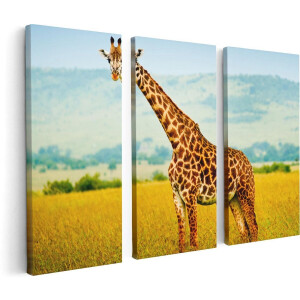 Artaza Canvas Schilderij Drieluik Giraffe In Het Veld - 120x80 - Foto Op Canvas - Canvas Print