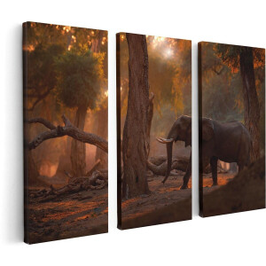 Artaza Canvas Schilderij Drieluik Olifant In het Bos - 120x80 - Foto Op Canvas - Canvas Print
