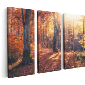Artaza Canvas Schilderij Drieluik Oranje Herfstbos Met Zonneschijn - 120x80 - Foto Op Canvas - Canvas Print