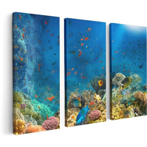 Artaza Canvas Schilderij Drieluik Onderwater Vissen Met Koraal In De Zee - 120x80 - Foto Op Canvas - Canvas Print