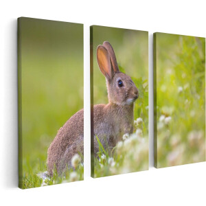 Artaza Canvas Schilderij Drieluik Konijn Tussen De Witte Bloemen - 120x80 cm - Wanddecoratie Woonkamer - Schilderijen - Muurdecoratie