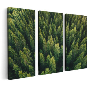 Artaza Canvas Schilderij Drieluik Bos Met Bomen Vanaf Boven - 120x80 - Foto Op Canvas - Canvas Print