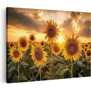 Artaza Canvas Schilderij Zonnebloemen in een Veld bij Zonsondergang - 60x40 - Wanddecoratie - Foto Op Canvas - Canvas Print