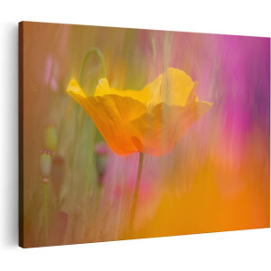 Artaza Canvas Schilderij Gele Klaproos in een Veld met Kleurrijke Bloemen - 90x60 cm - Wanddecoratie Woonkamer - Schilderijen - Muurdecoratie