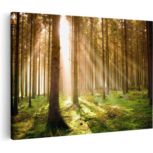 Artaza Canvas Schilderij Herfstbos - Bomen - 90x60 - Foto Op Canvas - Canvas Print - Muurdecoratie
