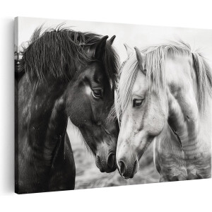 Artaza Canvas Schilderij Twee Paarden Kijken Elkaar Aan - Dieren - 60x40 cm - Wanddecoratie Woonkamer - Schilderijen - Muurdecoratie