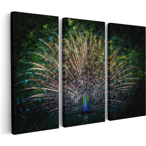 Artaza Canvas Schilderij Drieluik Pauw Met Kleurrijke Veren - Kleur - 60x40 - Klein - Foto Op Canvas - Canvas Print