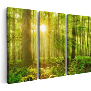 Artaza Canvas Schilderij Drieluik Groen Bos Met Schijnende Zonnestralen - 180x120 - Groot - Foto Op Canvas - Canvas Print