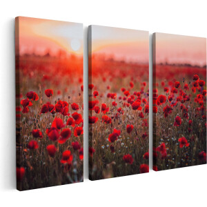 Artaza Canvas Schilderij Drieluik Rode Klaprozen Bloemenveld Zonsondergang - 150x100 - Groot - Foto Op Canvas - Canvas Print