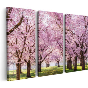 Artaza Canvas Schilderij Drieluik Roze Bloesembomen Park - Bloemen - 60x40 - Klein - Foto Op Canvas - Canvas Print