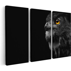 Artaza Canvas Schilderij Drieluik Zwarte Uil Met Gouden Ogen - 60x40 - Klein - Foto Op Canvas - Canvas Print