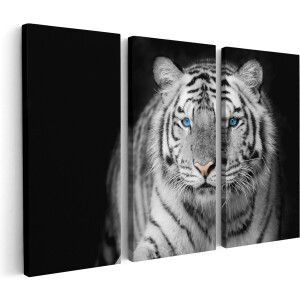 Artaza Canvas Schilderij Drieluik Tijger Met Blauwe Ogen - Zwart Wit - 150x100 - Groot - Foto Op Canvas - Canvas Print