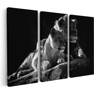Artaza Canvas Schilderij Drieluik Leeuw en Leeuwin zitten naast elkaar - Zwart Wit - 150x100 - Groot - Foto Op Canvas - Canvas Print