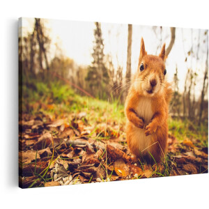 Artaza Canvas Schilderij Eekhoorn in het Bos tijdens de Herfst - 150x100 cm - Groot - Wanddecoratie Woonkamer - Schilderijen - Muurdecoratie