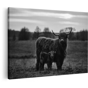 Artaza Canvas Schilderij Schotse Hooglander Koe met haar Kalf - Zwart Wit - 150x100 cm - Groot - Foto Op Canvas - Wanddecoratie