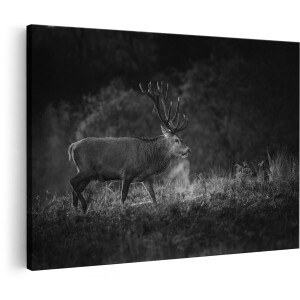 Artaza Canvas Schilderij Hert in het Gras met Mist - Zwart Wit - 180x120 cm - Groot - Foto Op Canvas - Wanddecoratie Woonkamer