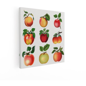 Artaza Canvas Schilderij Vintage Illustraties van Verschillende Soorten Appels en Perziken aan Takken met Bladeren - 90x90 cm - Groot - Wanddecoratie Woonkamer - Schilderijen - Muurdecoratie